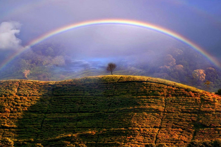 2021 Weather Photographer of the Year “Misty Rainbow” by Dani Agus Purnomo