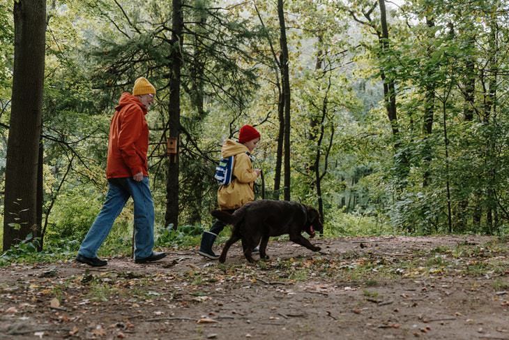 Walking Routine For Seniors