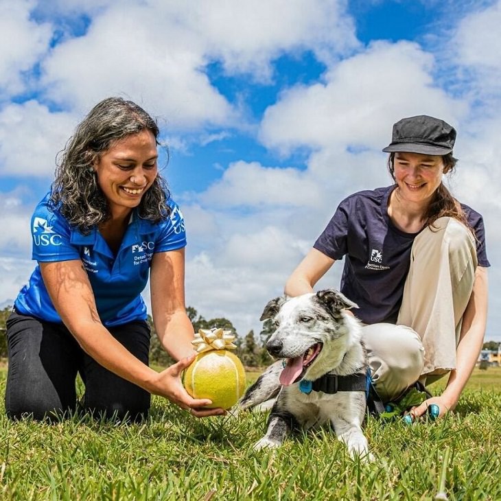 Bear, the life-saver Dog, trainers