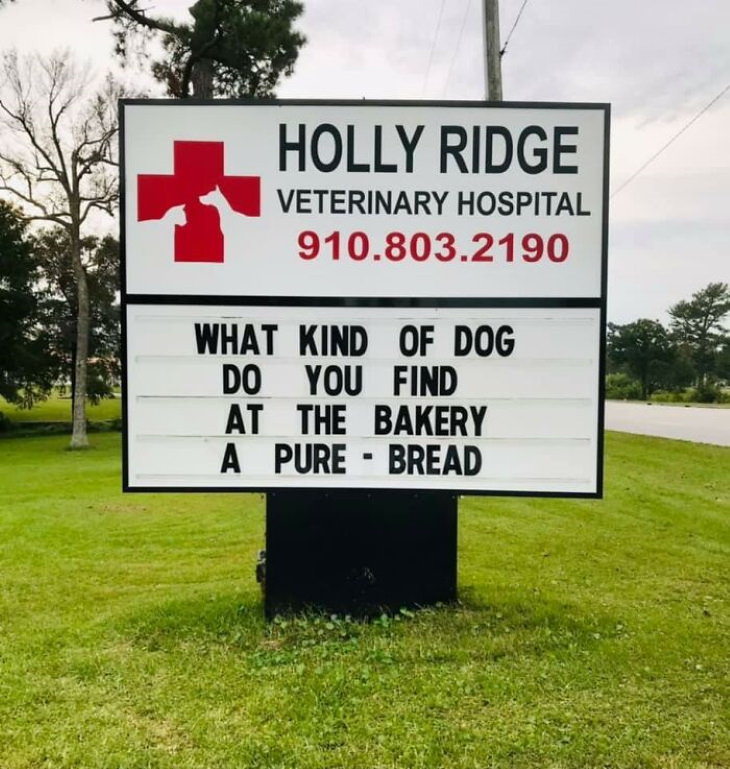Holly Ridge Veterinary Hospital funny signs bakery