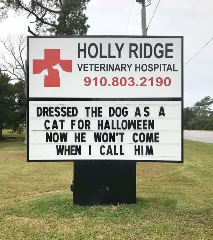 Holly Ridge Veterinary Hospital funny signs dog halloween costume