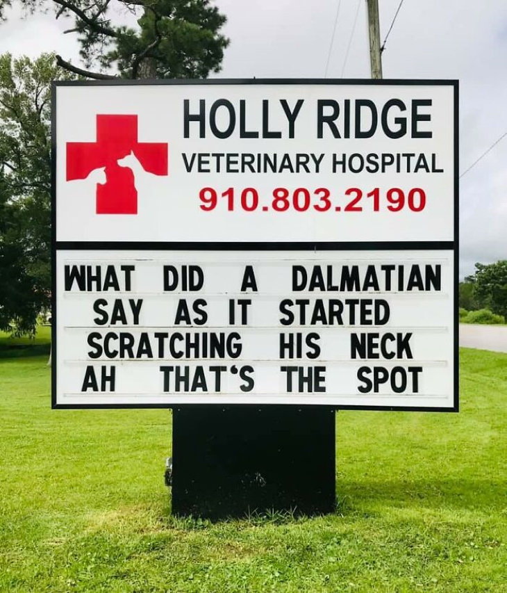 Holly Ridge Veterinary Hospital funny signs dalmatian