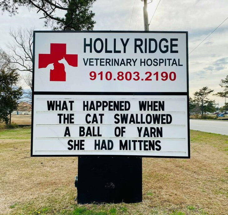 Holly Ridge Veterinary Hospital funny signs mittens