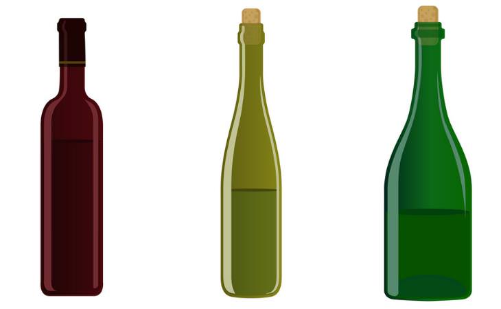 wine bottles illustration 