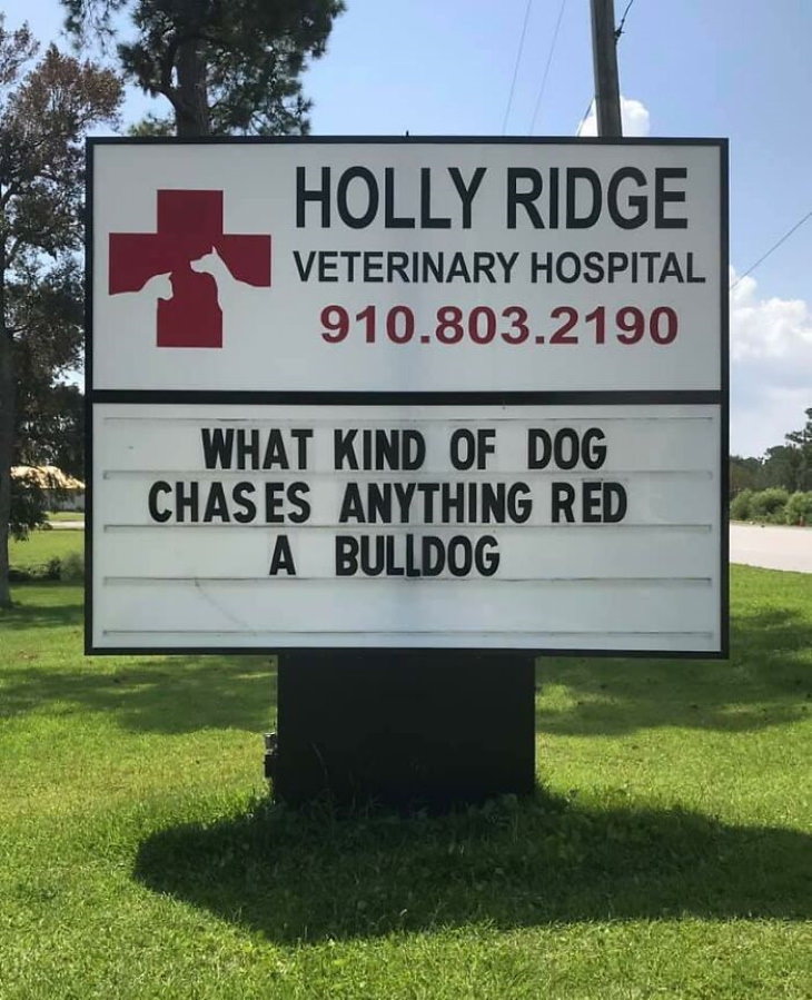Holly Ridge Veterinary Hospital funny signs bulldog