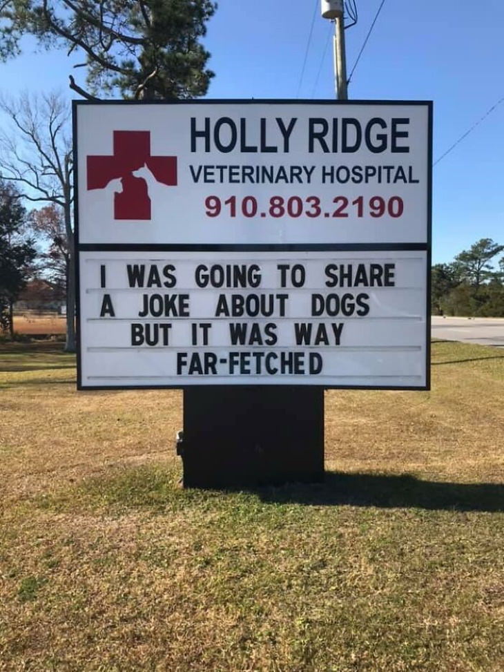 Holly Ridge Veterinary Hospital funny signs far-fetched