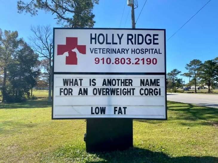Holly Ridge Veterinary Hospital funny signs corgis