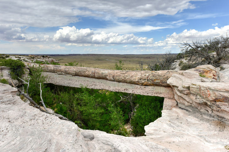 Agate bridge in Petrified Forest National Park