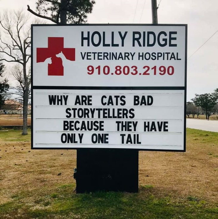 Holly Ridge Veterinary Hospital funny signs storytellers