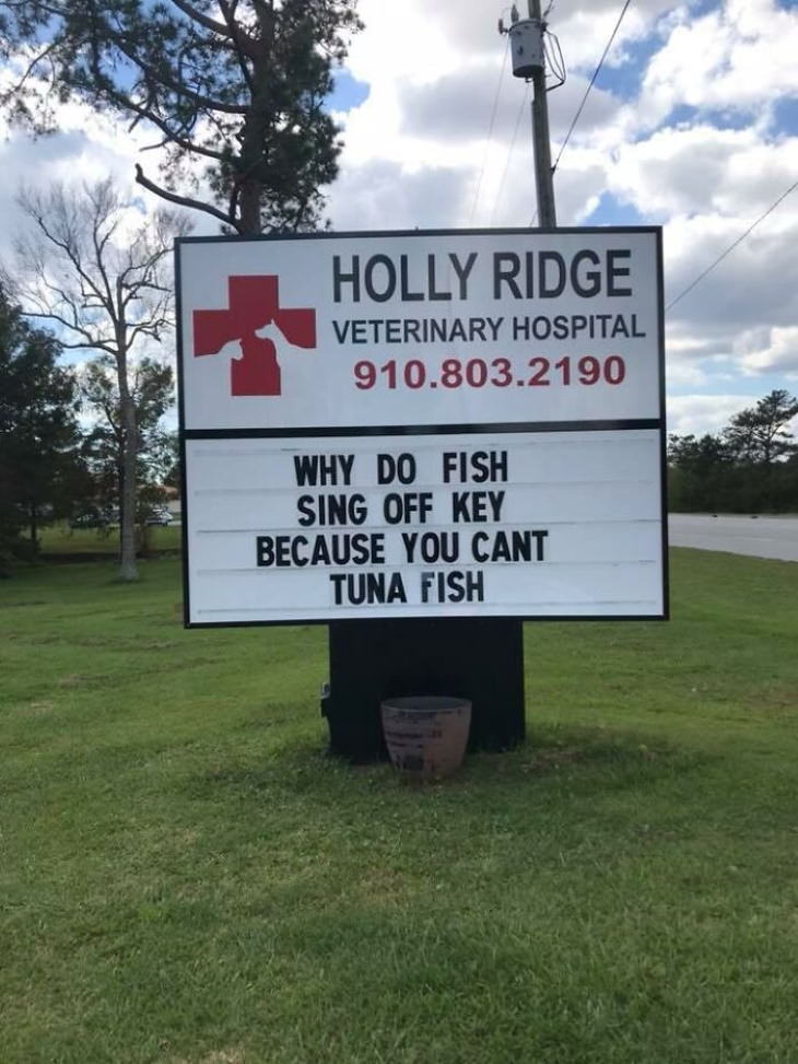 Holly Ridge Veterinary Hospital funny signs tuna fish