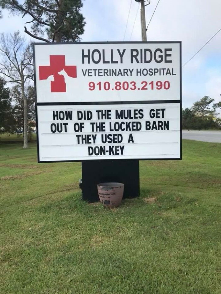 Holly Ridge Veterinary Hospital funny signs donkey
