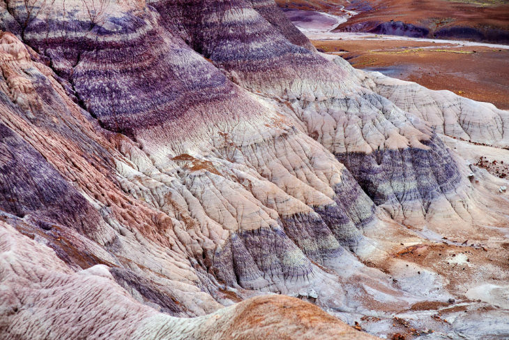 Petrified Forest National Park