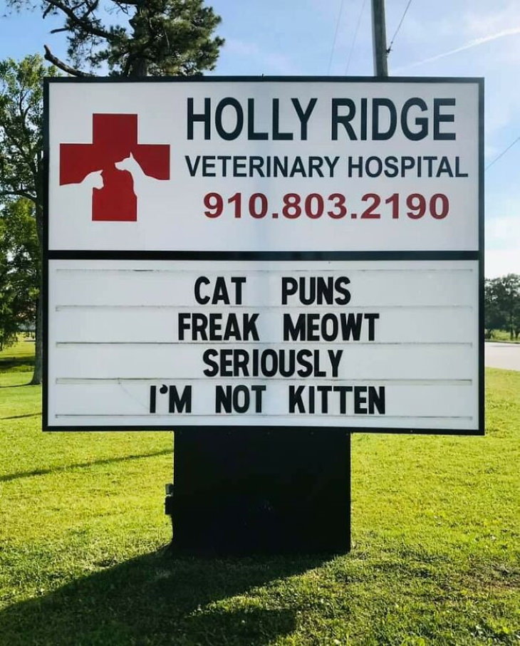 Holly Ridge Veterinary Hospital funny signs kitten
