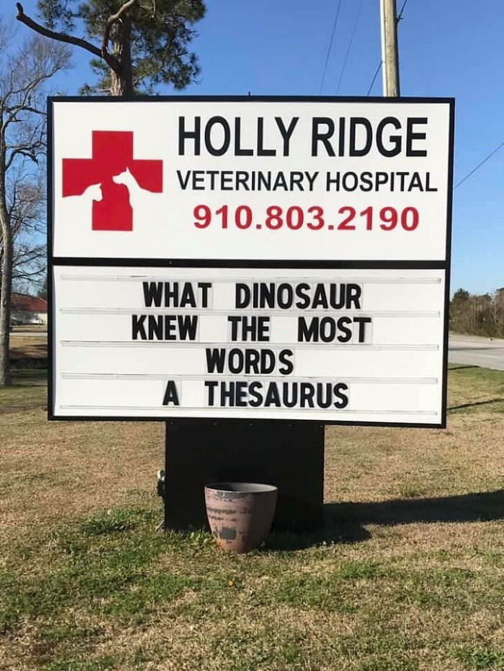 Holly Ridge Veterinary Hospital funny signs thesaurus