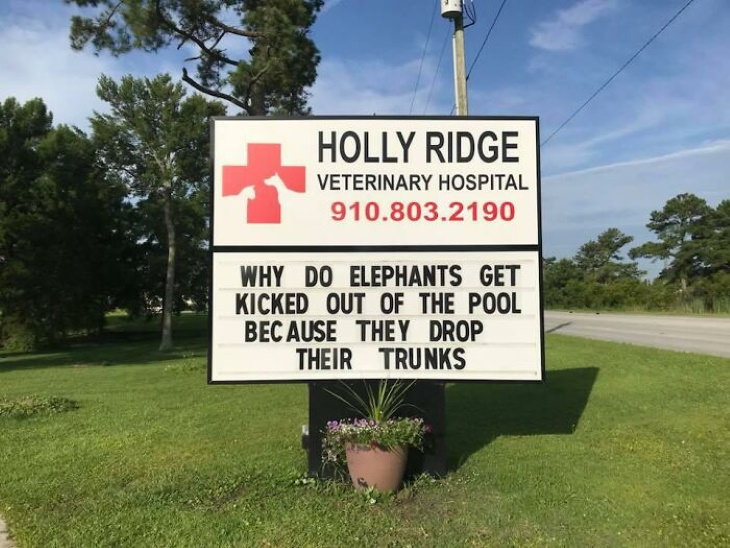Holly Ridge Veterinary Hospital funny signs elephants
