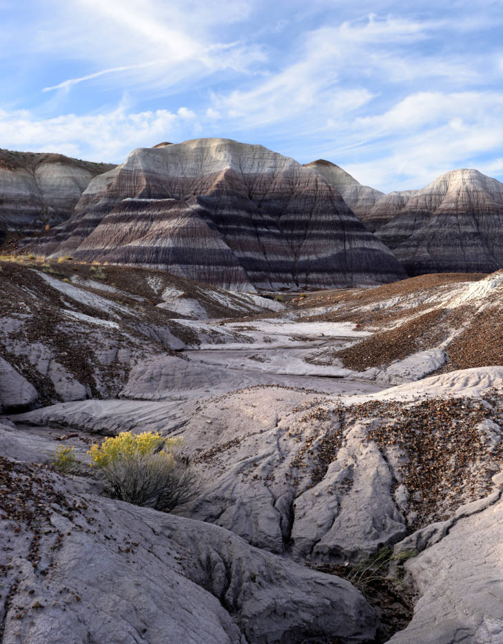 Petrified Forest National Park