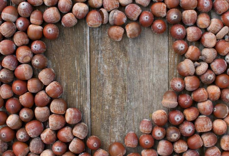 Benefits of Acorns, heart