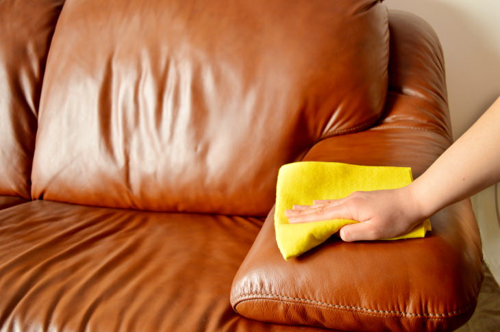 Tomato Stain Removal leather couch
