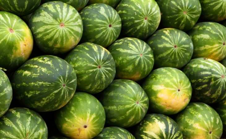 Watermelons