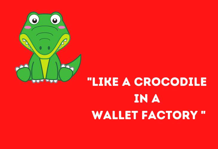 Funny Animal Phrases,crocodile 