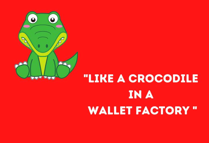 funny croc sayings