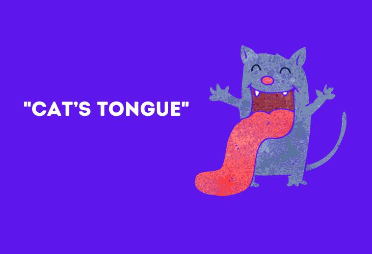 Funny Animal Phrases, Cat’s 