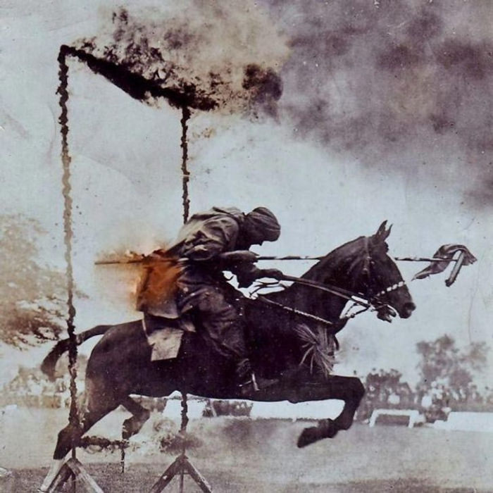 trained horse demostration on WW1