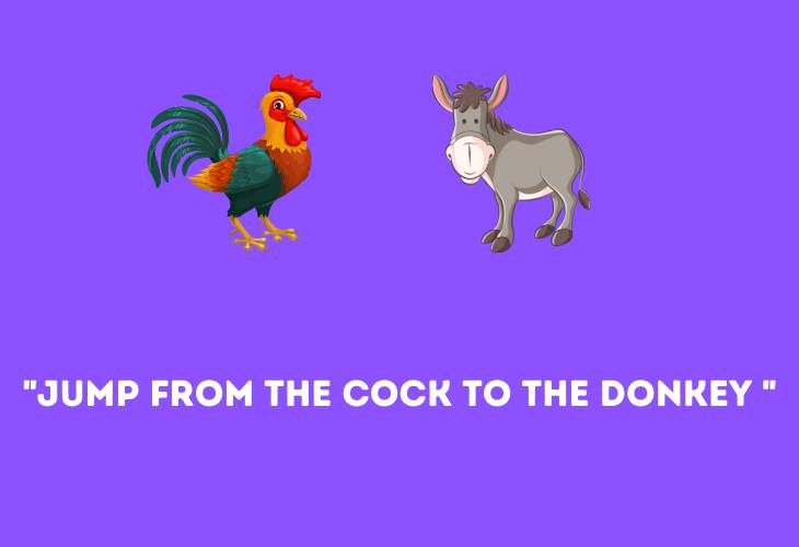 Funny Animal Phrases, cock to the donkey