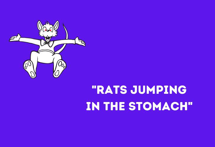 Funny Animal Phrases,Rats 