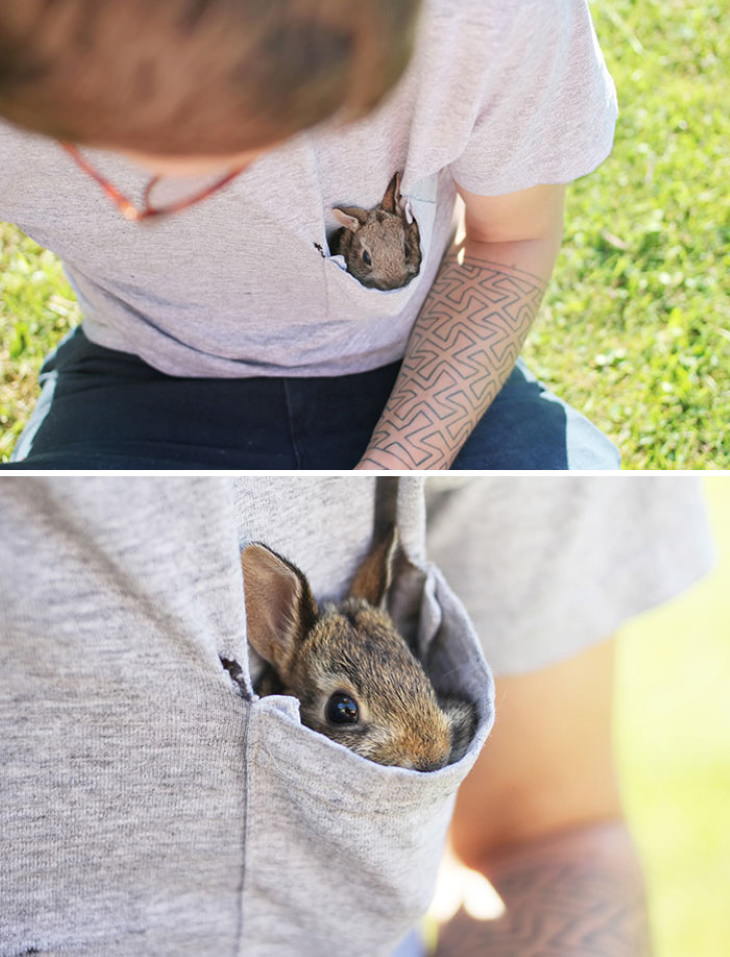 Cute Bunnies pocket bunny
