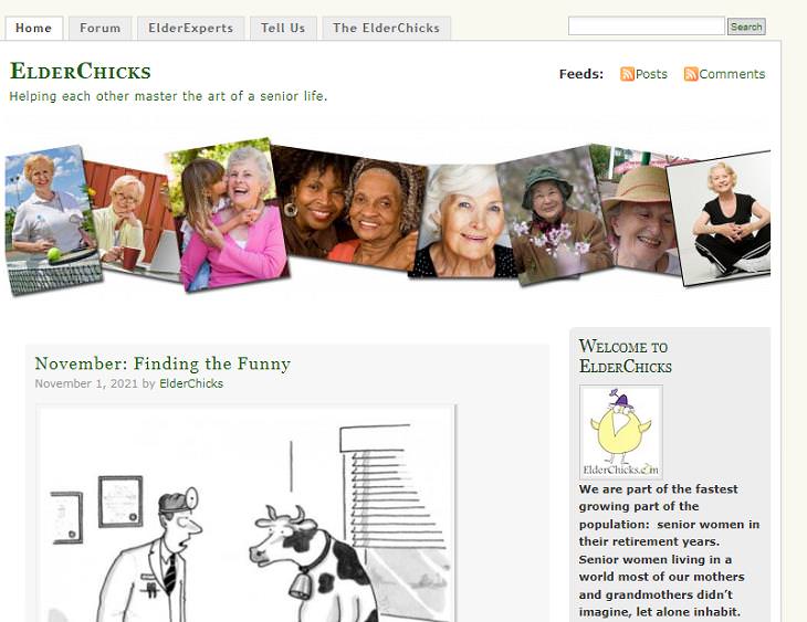 Blogs for Seniors, ElderChicks