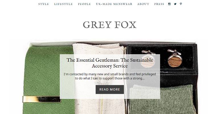 Blogs for Seniors, Grey Fox