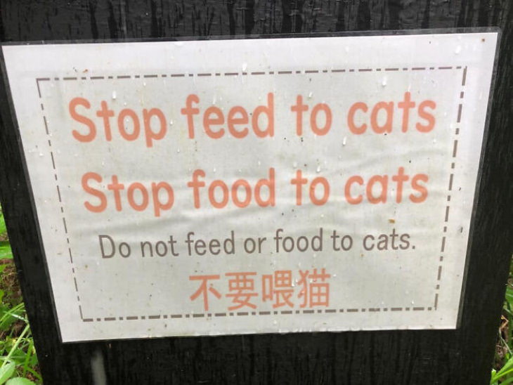 Funny Mistakes on Signs feed or food to cats