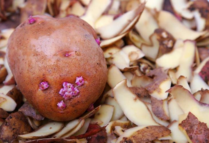 Health & Beauty Benefits of Potato Peels, nutritious
