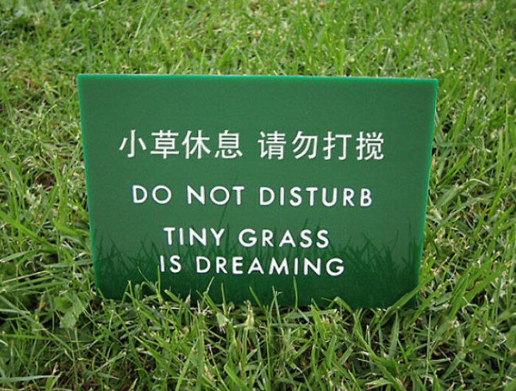 Funny Mistakes on Signs tiny grass