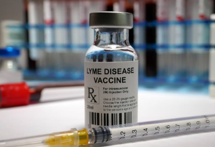 Vaccine for Lyme Disease, vial of vaccine