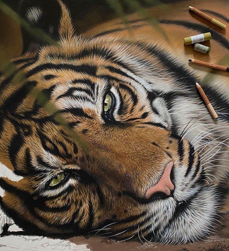 Julie Rhodes paintings calm tiger up-close