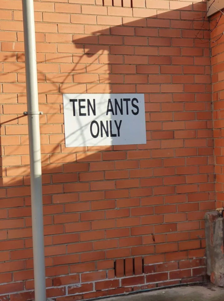 Spacing Fails ten ants only