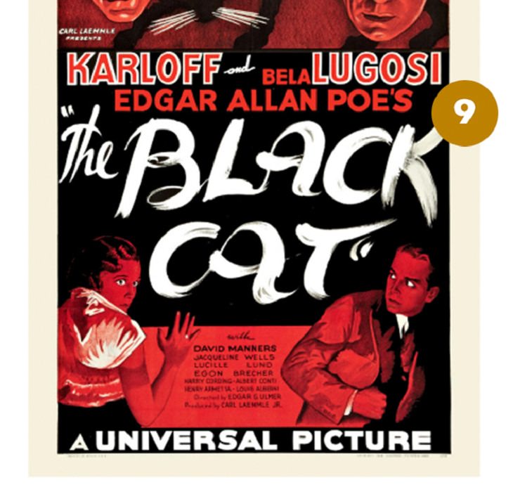 Most Expensive Film Posters, The Black Cat 