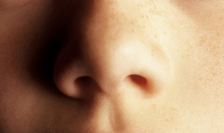 Unbelievable Facts nose