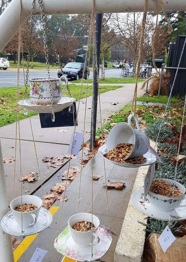 DIY Creations,  Bird feeders