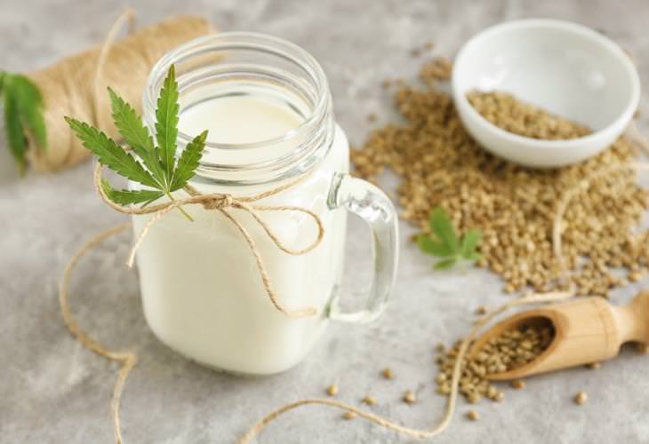 Beneficios para la salud de la leche de cáñamo, a base de plantas