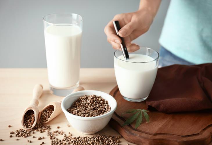 Health Benefits of Hemp Milk, making at home