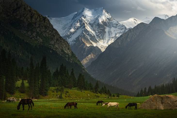 Kyrgyzstan by Albert Dros Alpine landscape 