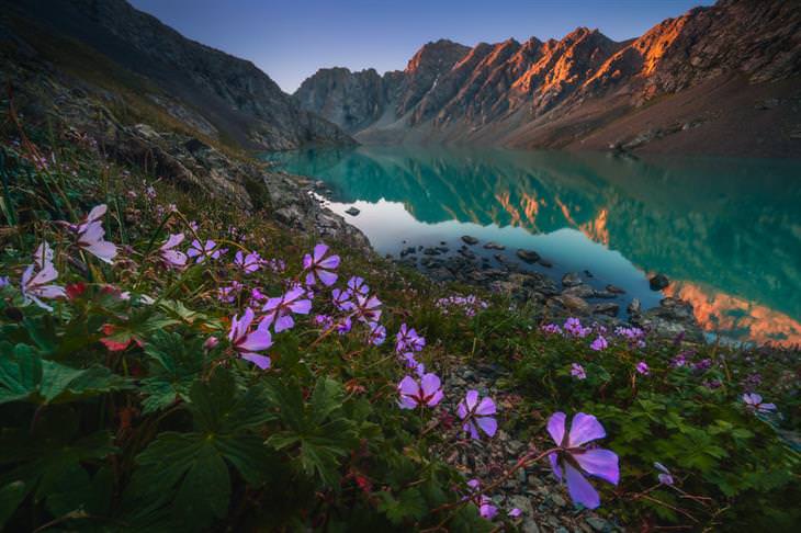 Kyrgyzstan by Albert Dros flowers and mountain lake
