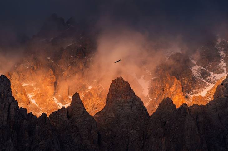 Kyrgyzstan by Albert Dros eagle in the mountains