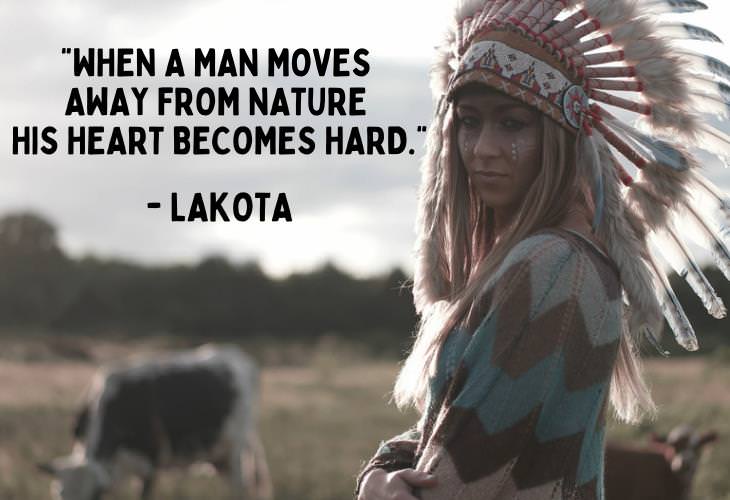 Native American Proverbs, heart