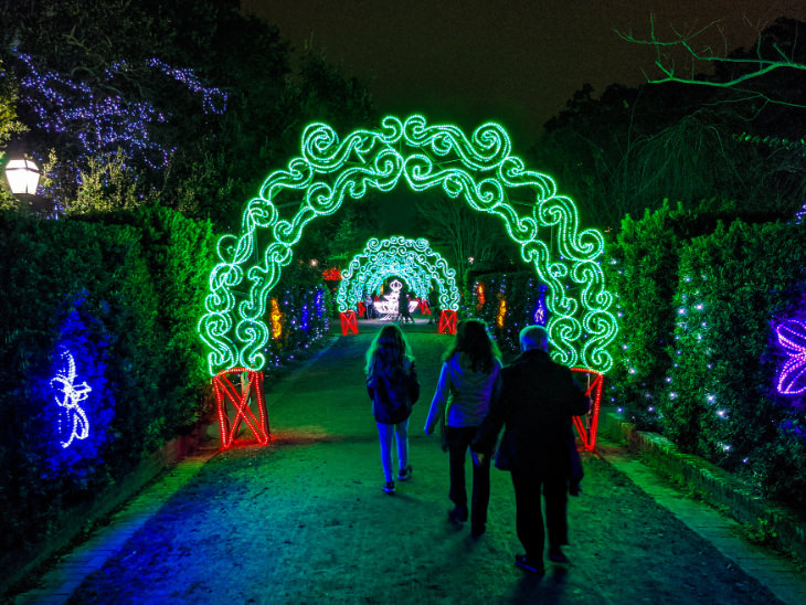 Christmas Light Exhibition at City Park in New Orleans