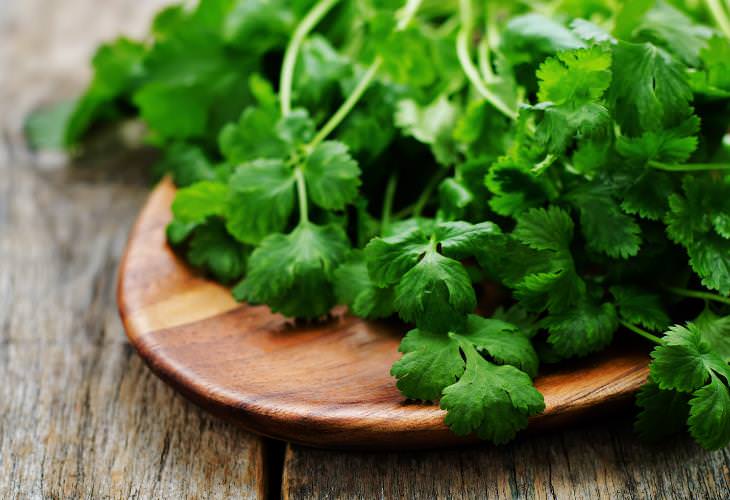 Heart-Healthy Herbs and Spices,  Coriander