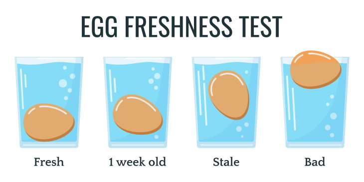 Eggs Storage and Expiration egg freshness test